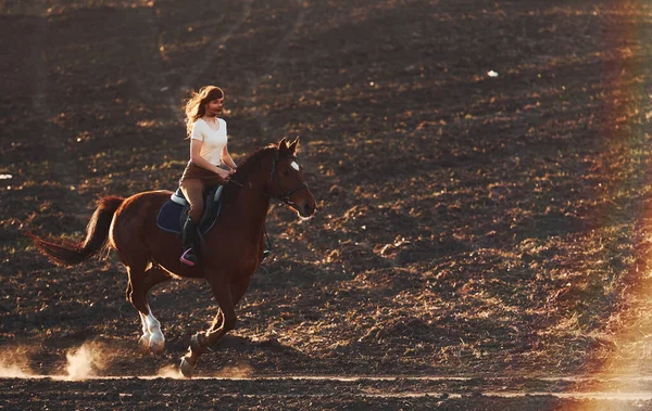 Νεαρή Γυναίκα Προστατευτικό Καπέλο Ιππεύει Άλογό Της Στον Αγροτικό Τομέα — Φωτογραφία Αρχείου