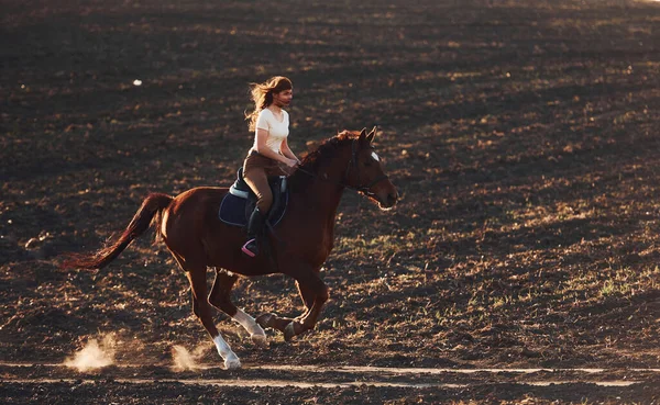 Νεαρή Γυναίκα Προστατευτικό Καπέλο Ιππεύει Άλογό Της Στον Αγροτικό Τομέα — Φωτογραφία Αρχείου