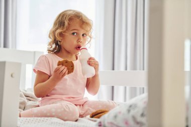 Yatakta oturmak, kurabiye yemek ve süt içmek. Gündüz vakti evde rahat giyimli şirin küçük bir kız var..