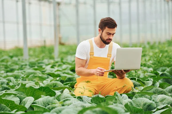 Young Greenhouse Worker Yellow Uniform Laptop Hands Have Job Hothouse — 图库照片