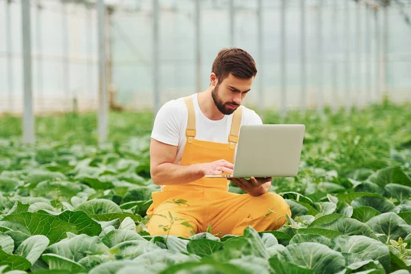 Young Greenhouse Worker Yellow Uniform Laptop Hands Have Job Hothouse — 图库照片