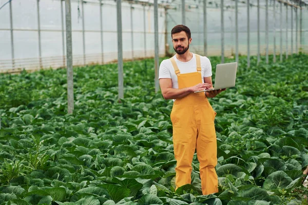 Young Greenhouse Worker Yellow Uniform Laptop Hands Have Job Hothouse — Foto Stock