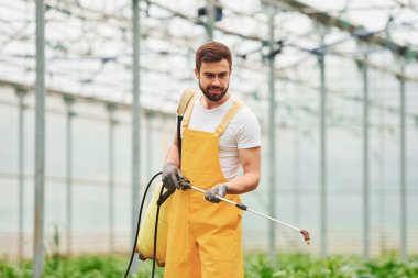 Sarı üniformalı genç bir sera işçisi seranın içinde özel ekipmanlar kullanarak bitkileri suluyor..