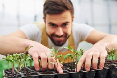 Siyah stanttaki bitkilerle ilgileniyor. Sarı üniformalı genç bir sera çalışanı serada çalışıyor..