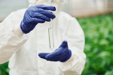 Beyaz koruyucu üniformalı genç bir kadın işçi seranın içinde test tüpleri kullanarak çalışıyor..