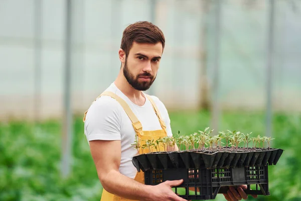 Black Stand Plants Hands Young Greenhouse Worker Yellow Uniform Have —  Fotos de Stock