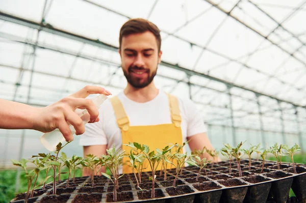 Woman Hand Watering Plants Black Stand Hands Young Greenhouse Worker — 图库照片