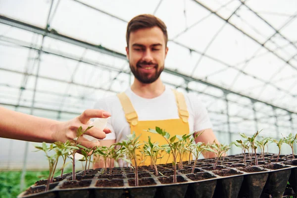 Handbewatering Voor Vrouwen Met Zwarte Stand Handen Jonge Kas Werknemer — Stockfoto