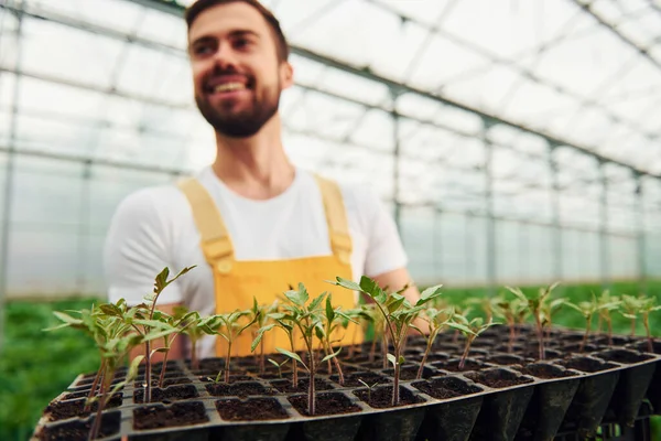 Black Stand Plants Hands Young Greenhouse Worker Yellow Uniform Have —  Fotos de Stock