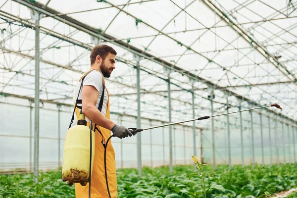 Young Greenhouse Worker Yellow Uniform Watering Plants Using Special Equipment — 图库照片