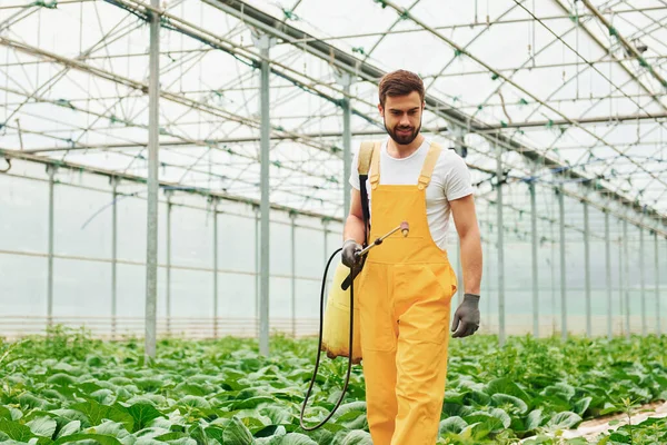 Young Greenhouse Worker Yellow Uniform Watering Plants Using Special Equipment — Foto Stock