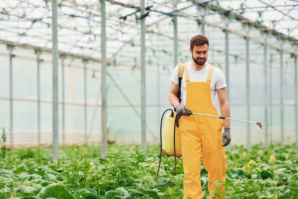 Young Greenhouse Worker Yellow Uniform Watering Plants Using Special Equipment — Foto Stock