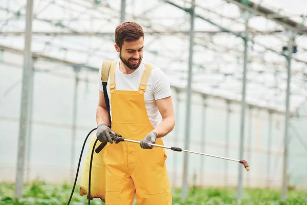 Young Greenhouse Worker Yellow Uniform Watering Plants Using Special Equipment — Foto Stock