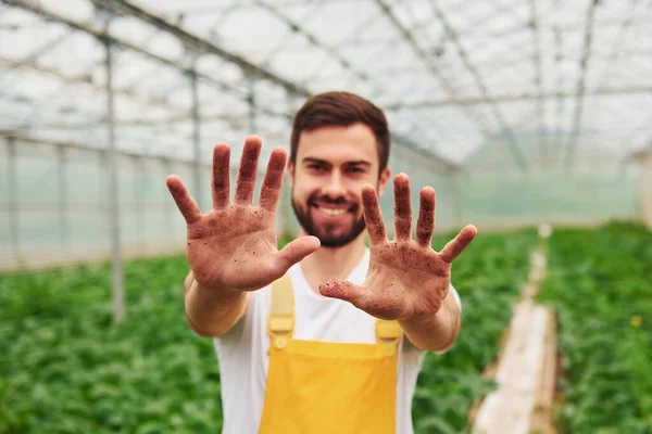 Shows Dirty Hands Work Young Greenhouse Worker Yellow Uniform Have —  Fotos de Stock