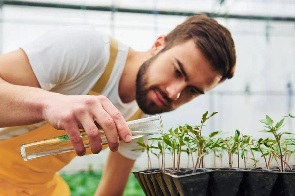 Using Test Tube Watering Plants Young Greenhouse Worker Yellow Uniform —  Fotos de Stock