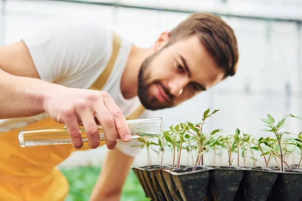 Using Test Tube Watering Plants Young Greenhouse Worker Yellow Uniform —  Fotos de Stock