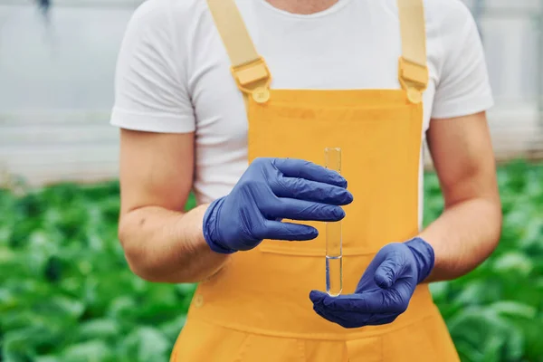Holds Test Tube Water Young Greenhouse Worker Yellow Uniform Have —  Fotos de Stock