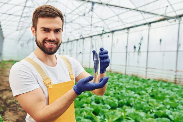 Holds Test Tube Young Greenhouse Worker Yellow Uniform Have Job — Stockfoto