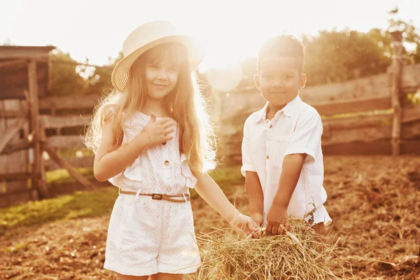 Cute Little African American Boy European Girl Farm — Stock Photo, Image