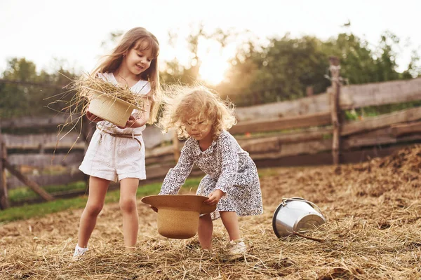 Two Little Girls Together Farm Summertime Having Weekend — Stock Photo, Image