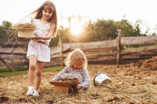 Two Little Girls Together Farm Summertime Having Weekend — Stock Photo, Image