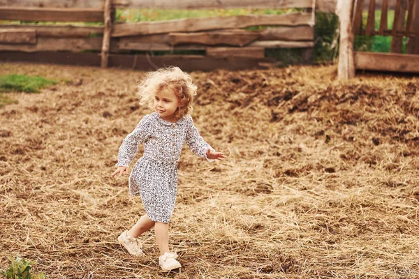 Маленька Дівчинка Синьому Одязі Фермі Літній Час Відкритому Повітрі — стокове фото