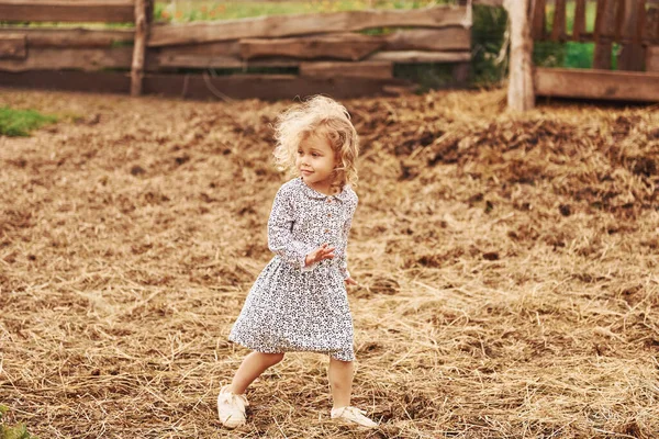 Kleines Mädchen Blauer Kleidung Ist Sommer Draußen Auf Dem Bauernhof — Stockfoto
