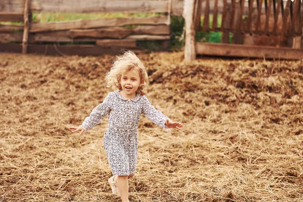 Klein Meisje Blauwe Kleren Boerderij Zomer Buiten — Stockfoto