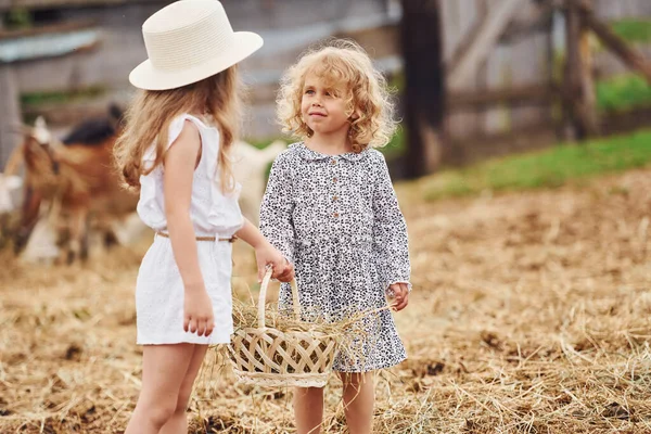 Две Маленькие Девочки Вместе Ферме Летом Проводят Выходные — стоковое фото