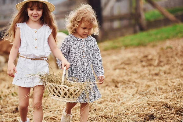 Two Little Girls Together Farm Summertime Having Weekend — Stock Photo, Image