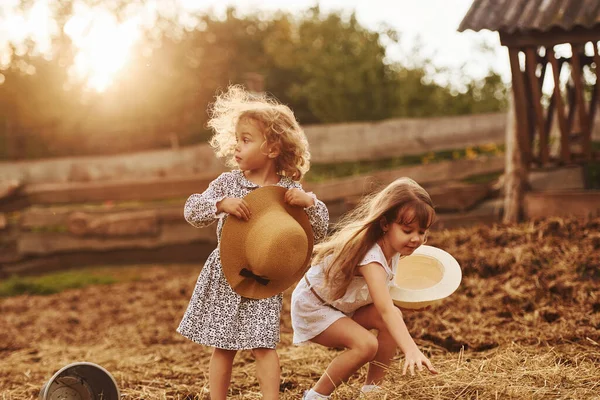 Two Little Girls Together Farm Summertime Having Weekend — Stock Photo, Image