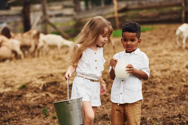 Тримає Молоко Милий Маленький Афроамериканський Хлопчик Європейською Дівчинкою Фермі Кіз — стокове фото