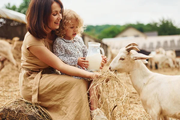 Fresh natural milk. Young mother with her daughter is on the farm at summertime with goats.