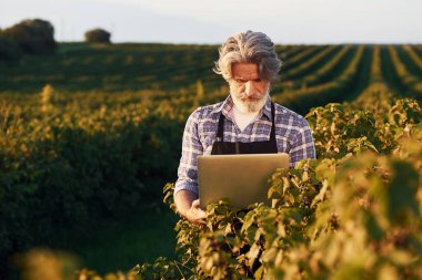 Dizüstü bilgisayarı tutuyorum. Tarım alanında gri saçlı ve sakallı kıdemli bir adamın portresi..