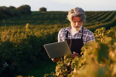 Dizüstü bilgisayarı tutuyorum. Tarım alanında gri saçlı ve sakallı kıdemli bir adamın portresi..