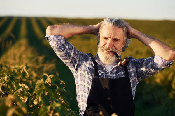 Ritratto Uomo Anziano Elegante Con Capelli Grigi Barba Sul Campo — Foto Stock