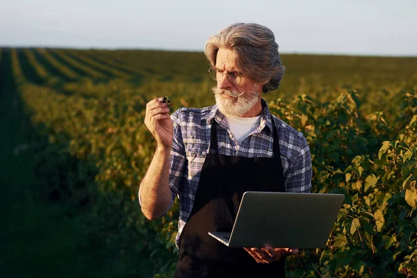 ノートパソコンを持ってる 農業分野で灰色の髪とひげを持つシニアスタイリッシュな男の肖像画 — ストック写真