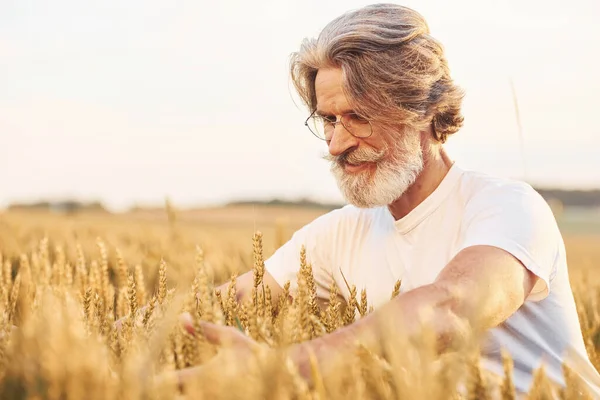 Tarım alanında gri saçlı ve sakallı kıdemli bir adamın portresi..