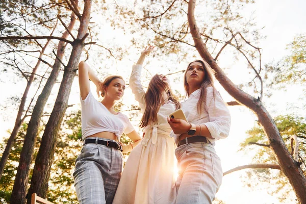 Mujeres Felices Grupo Jóvenes Tienen Vacaciones Aire Libre Bosque Concepción — Foto de Stock