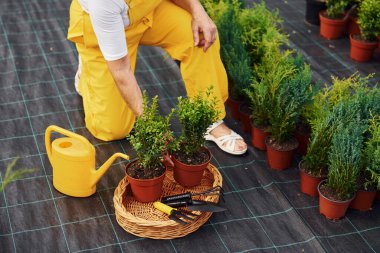 Manzarayı kapat. Kıdemli kadın gündüz vakti bahçede olur. Bitki ve mevsim kavramı.