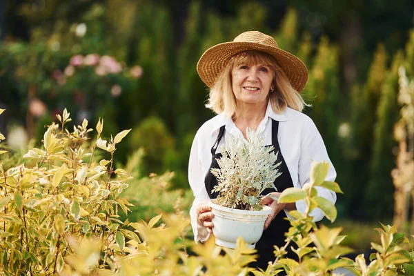 Ellerinde esrar tutarak. Kıdemli kadın gündüz vakti bahçede olur. Bitki ve mevsim kavramı.