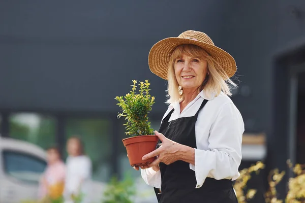 Topf Händen Halten Die Seniorin Ist Tagsüber Minigarten Äußere Bebauung — Stockfoto