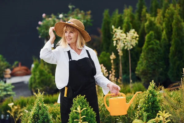 Rega Plantas Senior Mulher Está Jardim Durante Dia — Fotografia de Stock