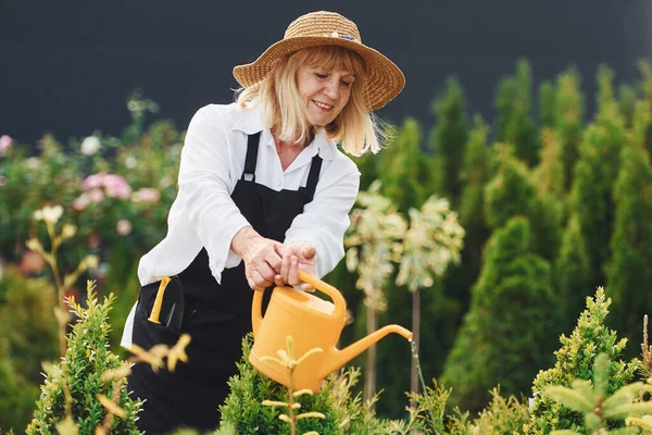 Sarı renkli sulama tenekesi kullanarak. Kıdemli kadın gündüz vakti bahçede olur. Bitki ve mevsim kavramı.