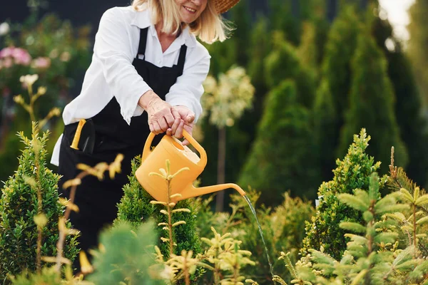 Použitím Žluté Plechovky Vodou Starší Žena Dne Zahradě Koncepce Rostlin — Stock fotografie