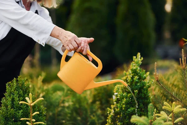 黄色の色の散水を使用できます 昼間は年配の女性が庭にいる 植物や季節の概念 — ストック写真