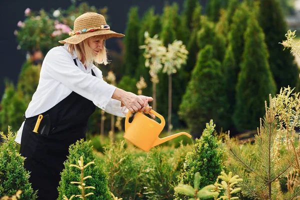 Použitím Žluté Plechovky Vodou Starší Žena Dne Zahradě Koncepce Rostlin — Stock fotografie