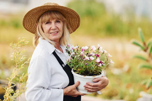 Pózování Květináčem Rukou Starší Žena Dne Zahradě Koncepce Rostlin Ročních — Stock fotografie