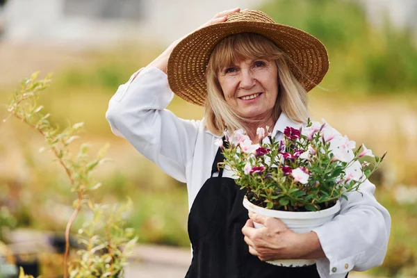 手に花の鍋でポーズ 昼間は年配の女性が庭にいる 植物や季節の概念 — ストック写真
