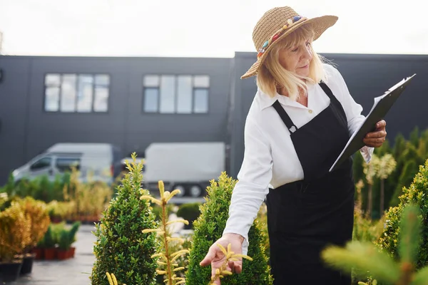 Bloco Notas Nas Mãos Senhora Está Jardim Durante Dia Concepção — Fotografia de Stock